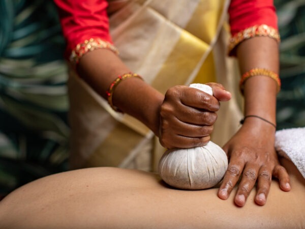 Ajurwedyjskie pakiety 1-dniowe